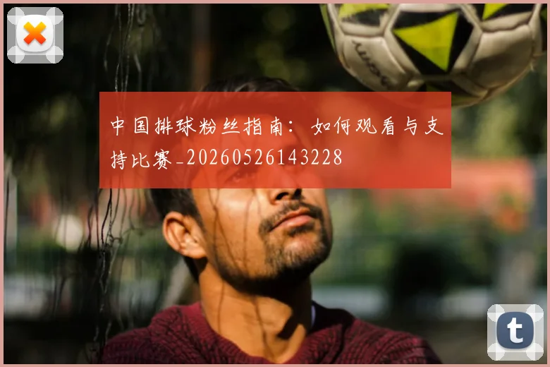中国排球粉丝指南:如何观看与支持比赛_20260526143228