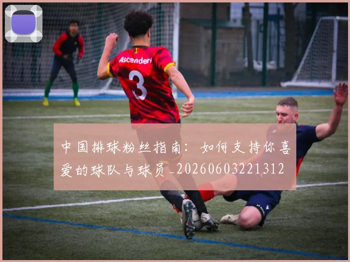 中国排球粉丝指南：如何支持你喜爱的球队与球员_20260603221312