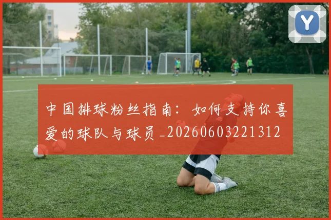 中国排球粉丝指南：如何支持你喜爱的球队与球员_20260603221312